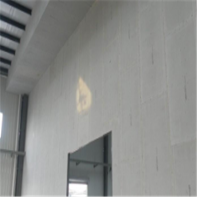 二道江宁波ALC板|EPS加气板隔墙与混凝土整浇联接的实验研讨